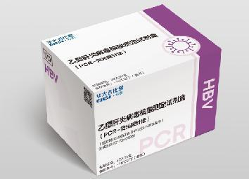 HBV检测试剂盒