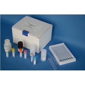 维生素检测试剂盒怎么用